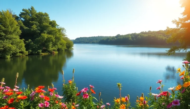 Relaxing scene of Virginia water reflecting greenery and blue sky in a tranquil lake setting.